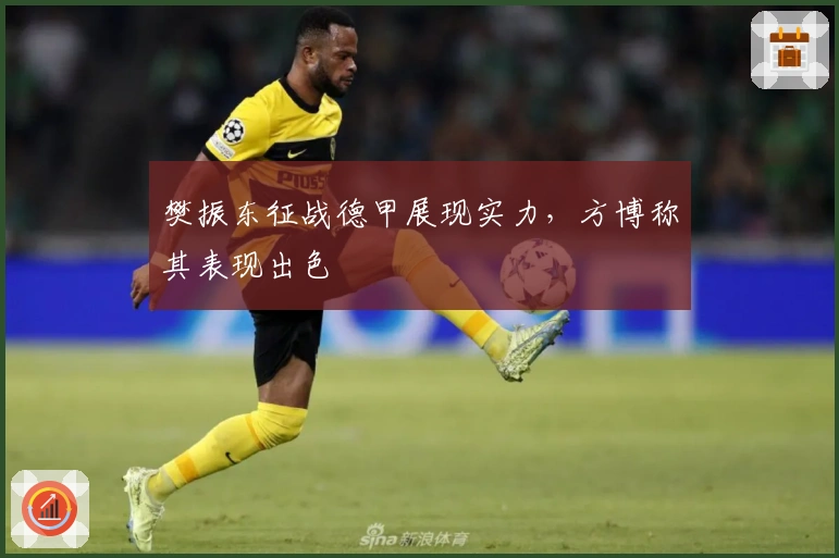 樊振东征战德甲展现实力，方博称其表现出色