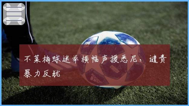 不莱梅球迷举横幅声援悉尼，谴责暴力反犹